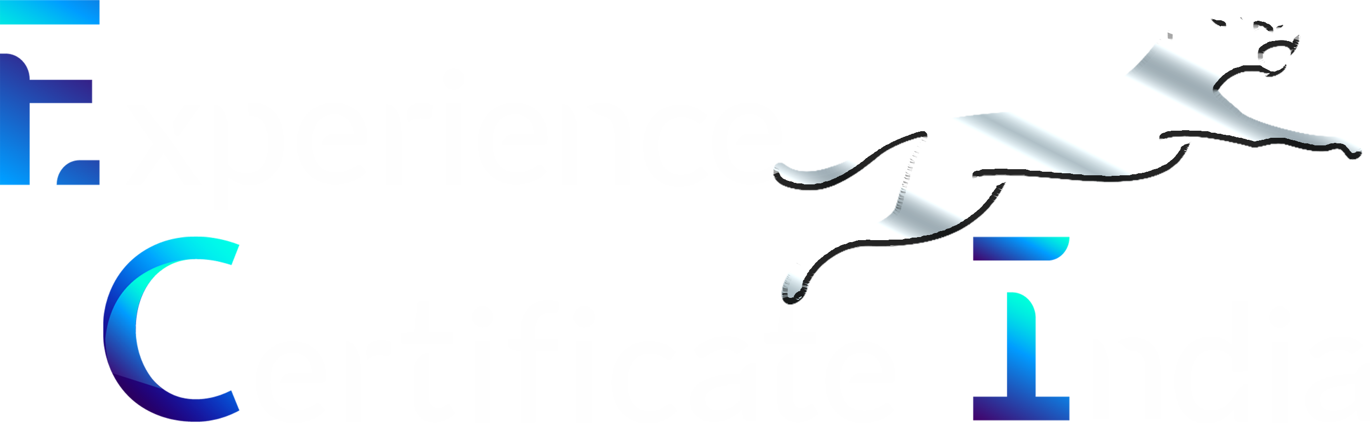 experience certificate payment logo